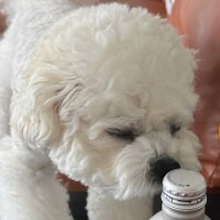 beri (@beri_min) 's Twitter Profile Photo beri (@beri_min) 's Twitter Profile Photo