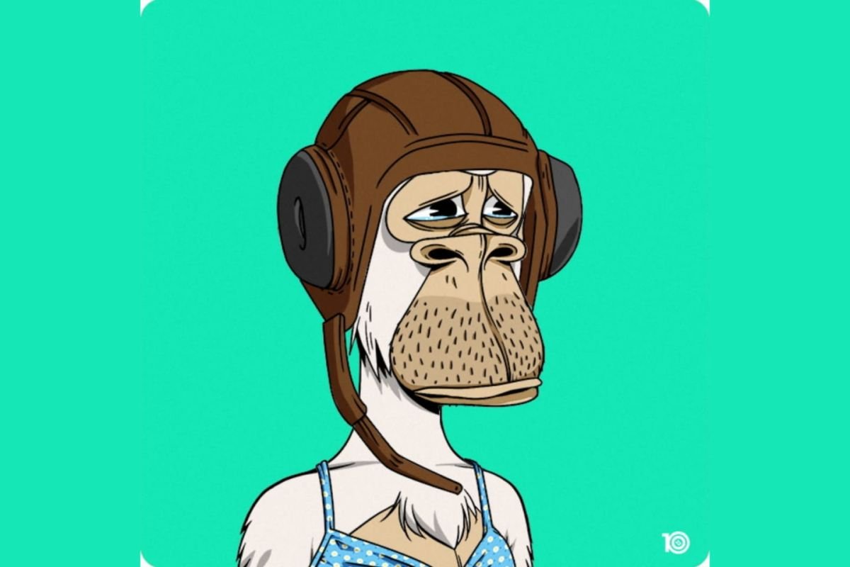 godmukonyezi's profile picture. Mining knowledge, staking ideas, and trading wisdom. #CryptoLife