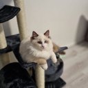 Deborah Colon - @DeborahCol3592 - Twitter