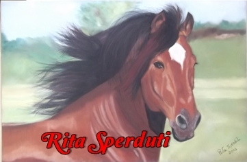 Cartolibreria e Belle Arti.Rivenditore Fimo,Stamperia,Decomania,Renkalik,Ferrario e molto altro.Corsi in Sede. Via Casale del Finocchio,46 -ROMA tel 06.20761623