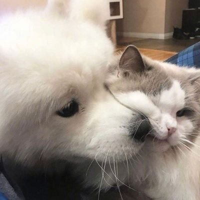 sunshine_nk03's profile picture. ɢᴏᴛ7💚 (𝙥𝙚𝙧𝙨𝙤𝙣𝙖𝙡 𝙖𝙘𝙘𝙤𝙪𝙣𝙩)
𝙕𝙚𝙚𝙉𝙪𝙉𝙚𝙬 🩵🩷 | ซนซน
Zee 🐶🌊 | Zunshine ☀️
NuNew 🐱☁️ | NanaNu ✨️
  ʙᴇ ʏᴏᴜ,ɴᴏᴛ ᴛʜᴇᴍ ᴇᴠᴇʀʏᴛɪᴍᴇ ᴡɪᴛʜ ʏᴏᴜ