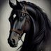 عادل شمله (@shamlah_) Twitter profile photo عادل شمله (@shamlah_) Twitter profile photo