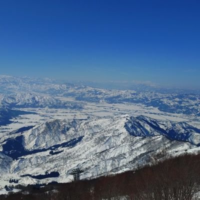 taotaotetsuo200's profile picture. 