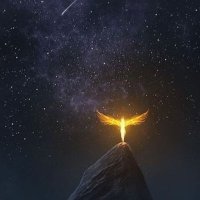 Phoenix (@itvjp9) 's Twitter Profile