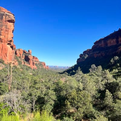 OkiElles's profile picture. Public Health Researcher, Health Advocate for Military Families, Unrelentingly asking why & believer in change 🦓