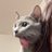 betuni_273
