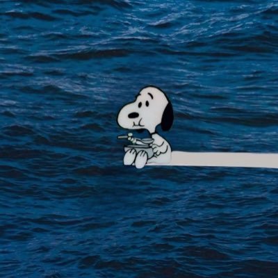 pietropnz's profile picture. 