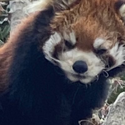 momokaさんのプロフィール画像