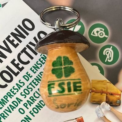FSIE Soria Profile