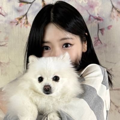 Simping for Minji 24/7
STAN DREAMCATCHER!
what about dreamcatcher?
쥬꼬 ❤️❤️❤️♥️
🐰🐤🐺🐱🐶🐼🦊
220420
230811
230828