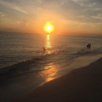 Leonard Walker (@leonardw12s1) 's Twitter Profile Photo Leonard Walker (@leonardw12s1) 's Twitter Profile Photo
