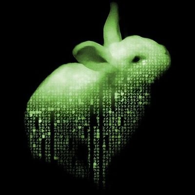 Wake up, Neo...
The Matrix Has You...
Follow The White Rabbit.
Escape The Matrix