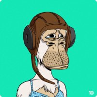 Lamar (@thrudapain) 's Twitter Profile