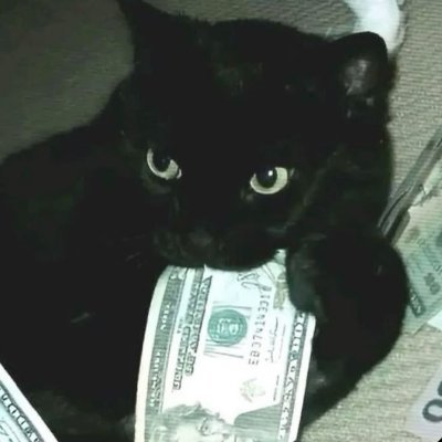 DLabaki62261's profile picture. meme coin degen and dev                                  https://t.co/UsdUgcxF5S