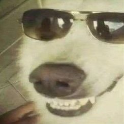 Nezerto1's profile picture. 23 | ❤️ | Math and Physic enjoyer |Fr/Eng | 🏳️‍⚧️