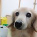馬場 英行 (@sharoushigo55) Twitter profile photo 馬場 英行 (@sharoushigo55) Twitter profile photo