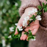 فاطمه (@fatmeh16m) 's Twitter Profile Photo