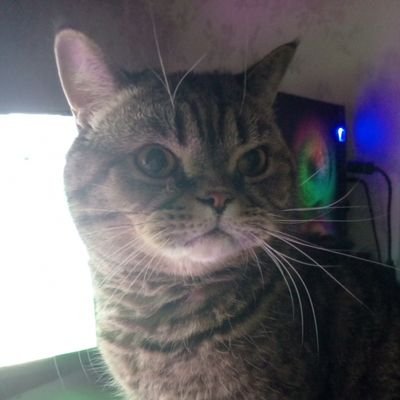 Hello there, Im beginner youtuber and roblox dev. Nothing special of me :p