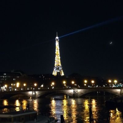 Marianella811's profile picture. 