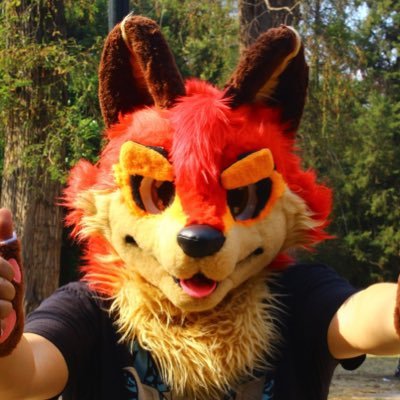 Una pequeña cuenta furry, posteo de todo, incluido NSFW. ((🔞⚠️Solo cuentas +18, sigueme bajo tu propio riesgo ⚠️, )) (NO MINORS) 🐾Bluey fan🐾