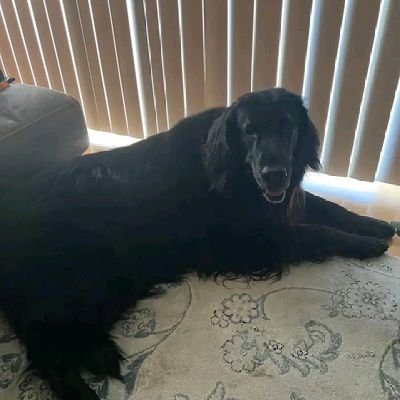 newtonmars72425's profile picture. 