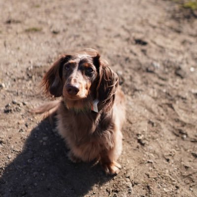 RYANCASH02's profile picture. 