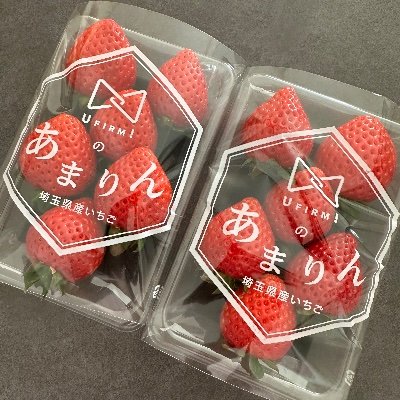 L3u94_famm's profile picture. webデザイン/１歳ママ👧/ピラティス/無言フォロー&いいね失礼します🙇‍♀️/子育てと勉強の両立不安ですが頑張ります🫧/食べること大好き🤤/パン屋巡り🍞🥖🥐/twice/Snow Man/編み物🧶