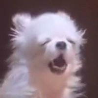 디로 (@dyro6974) 's Twitter Profile