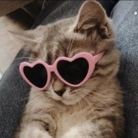 julia ఇ (@julszurub) 's Twitter Profile