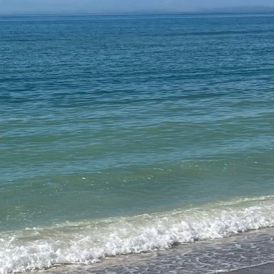 PBrettin75480's profile picture. Florida Girl