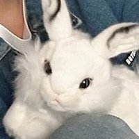 ✲ﾟs u n s h i n e✲🐰🤍✨ (@godsavethechild) 's Twitter Profile Photo