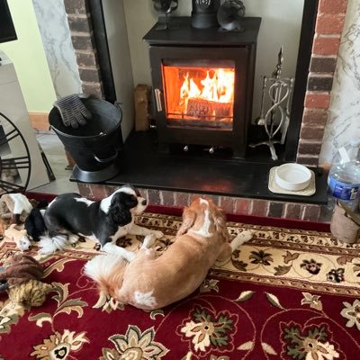 sjgorrit's profile picture. .NO DMs. ex T.A. no to the vax we are #together. Health therapist, i