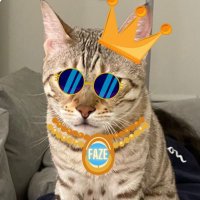 lindsay sharitza (@sharitzal) 's Twitter Profile