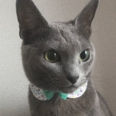 ew17336's profile picture. Famm2月期卒業🎓Famm関係の方勝手にフォローしたりリプするかもしれませんがお許し下さい🙇‍♀️気軽に話しかけてくださると嬉しいです☺️Famm関係の方以外のDMは怖いのでほぼブロックしますすみません…