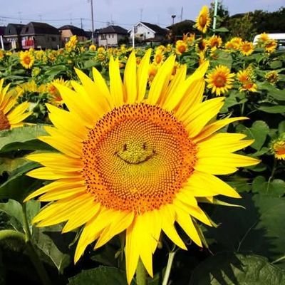 -คนของพีรญา-
🤟 #FayePeraya 💛🌻

💛🌻I promise not to go ,  If you promise to stay 🌻💛

@malisorn00 @JUNE_NANNIRIN @Enjoyyotdrr @filmracha @loverrukk @maywyda