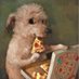 🐾Andante (@andanteisfree) Twitter profile photo 🐾Andante (@andanteisfree) Twitter profile photo