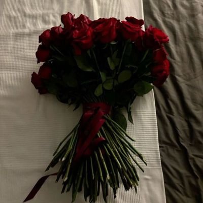 SuHaiLa_Ink's profile picture. إليكَ وإلّا لا تُشَدُّ الركائب 🇵🇸✍🏻