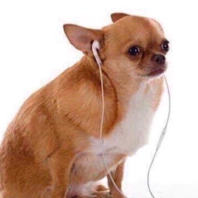 ALlTTLED3ATH's profile picture. 