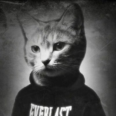 TammyJa14418357's profile picture. 