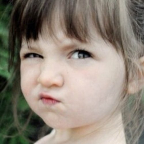 Mrmusibill's profile picture. 