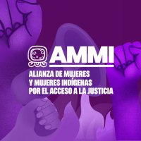 Alianza de Mujeres por el Acceso a la Justicia (@alianzammi) 's Twitter Profile