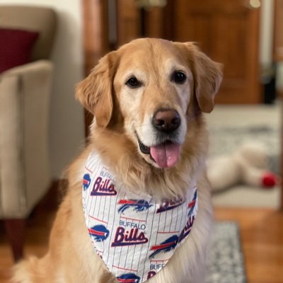 recasey30's profile picture. 