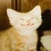S (@imsaneandnormal) Twitter profile photo S (@imsaneandnormal) Twitter profile photo