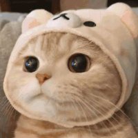 雨水 | ᴋꜰᴍᴀᴍᴀ ツ (@kfnmommy) 's Twitter Profile Photo