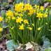 D ❤️🇮🇱✡️🎗️✝️🇺🇦 🌷🐣FREE SPEECH TO RUIN LIES (@d9082009897869) Twitter profile photo D ❤️🇮🇱✡️🎗️✝️🇺🇦 🌷🐣FREE SPEECH TO RUIN LIES (@d9082009897869) Twitter profile photo
