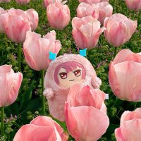 あまね (@violet_s7846) 's Twitter Profile Photo あまね (@violet_s7846) 's Twitter Profile Photo