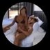 Casais Amadores (@casais_amador) Twitter profile photo Casais Amadores (@casais_amador) Twitter profile photo