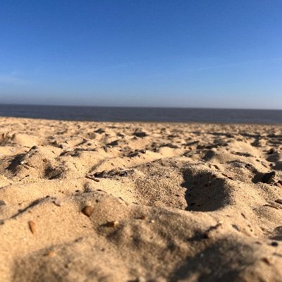 bethancofx's profile picture. ❤️‍🔥