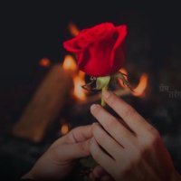 Ojal (@allabout_ojal) 's Twitter Profile