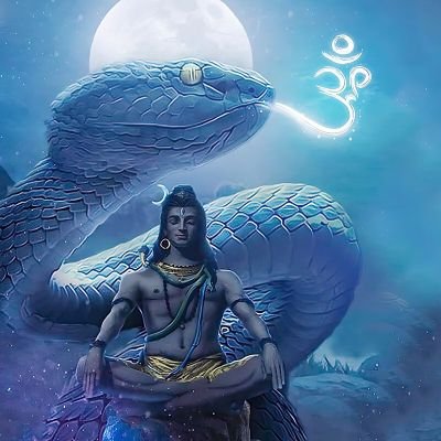 vasuk_naag's profile picture. kaala Naag